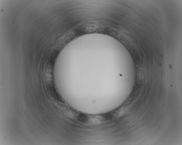 X0000076390226200610271601