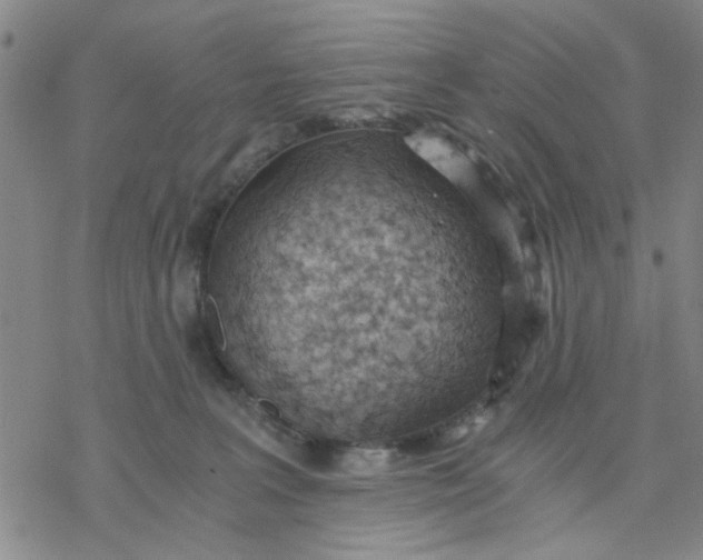 X0000076390227200610271601