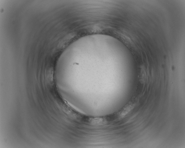 X0000076390230200610271601