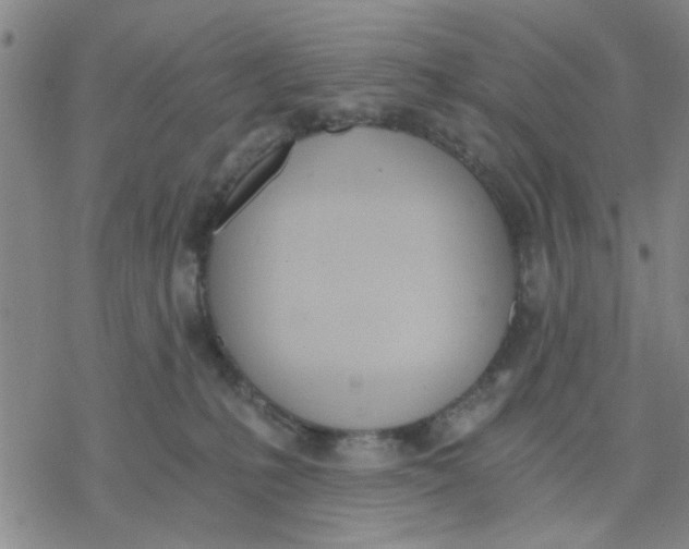 X0000076390231200610271601