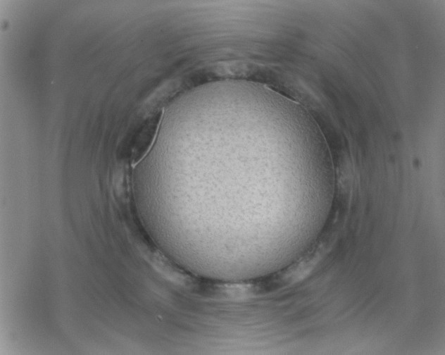 X0000076390233200610271601