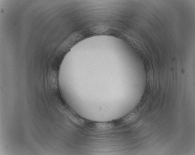 X0000076390234200610271601