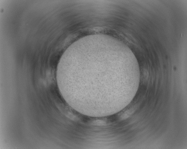 X0000076390236200610271601