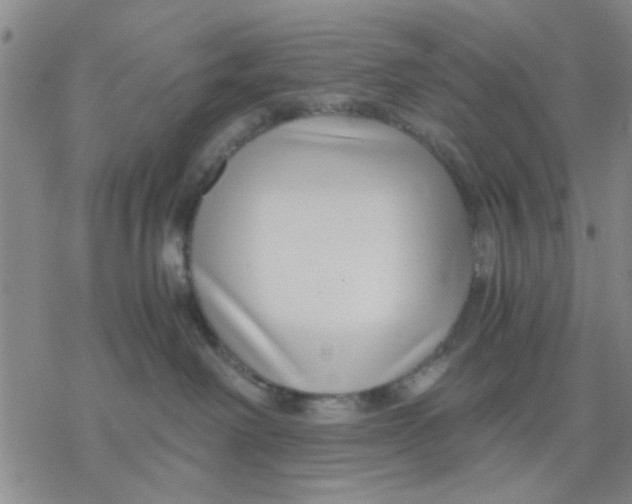 X0000076390238200610271601