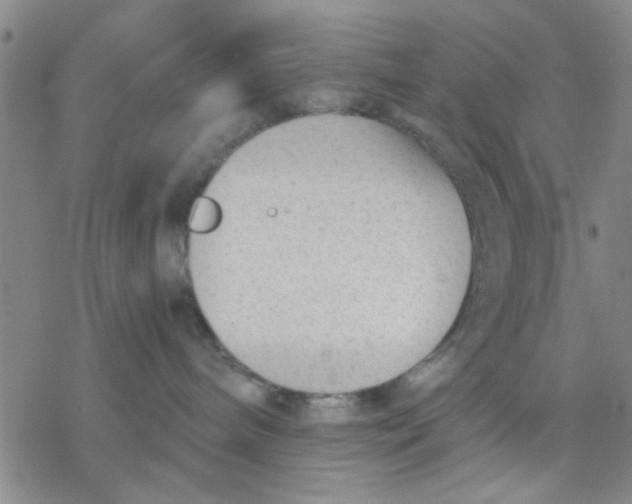 X0000076390240200610271600