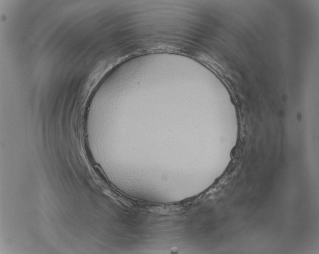 X0000076390241200610271600