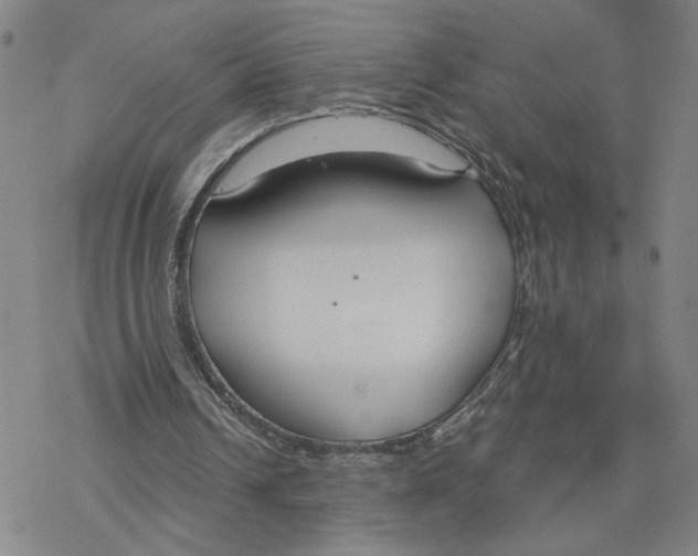 X0000076390242200610271600