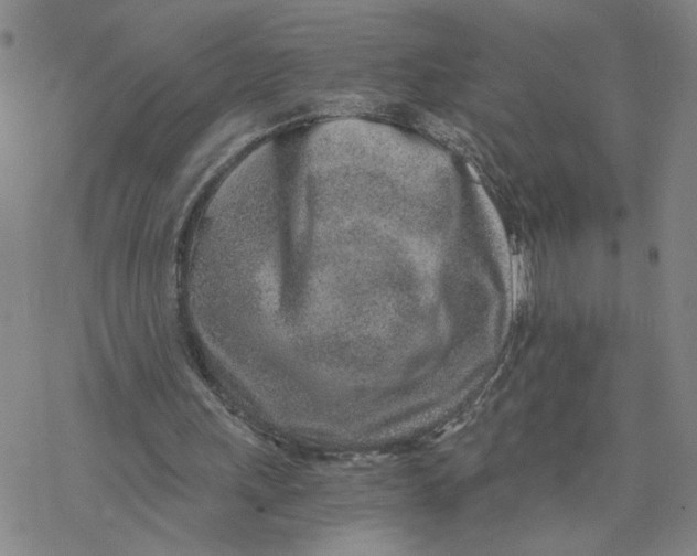 X0000076390243200610271600