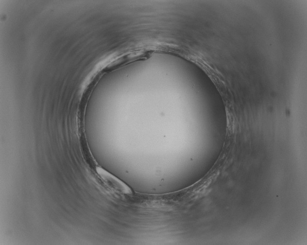 X0000076390244200610271600