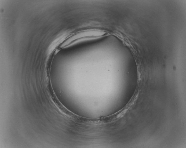 X0000076390245200610271600