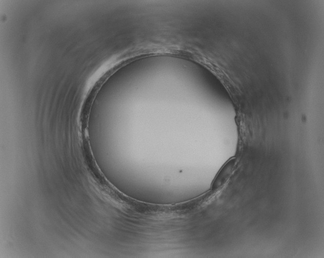 X0000076390246200610271600