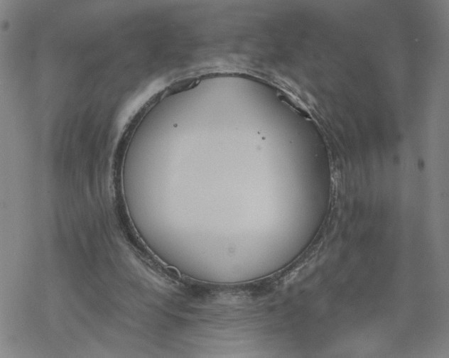 X0000076390248200610271600