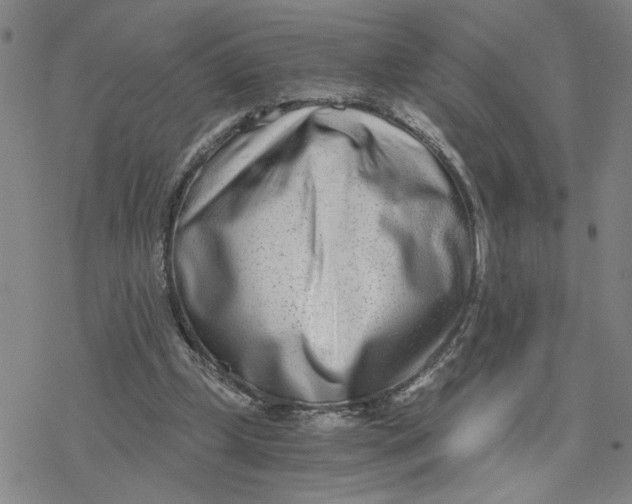 X0000076390249200610271600