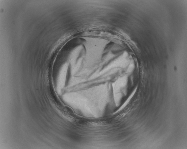 X0000076390250200610271600