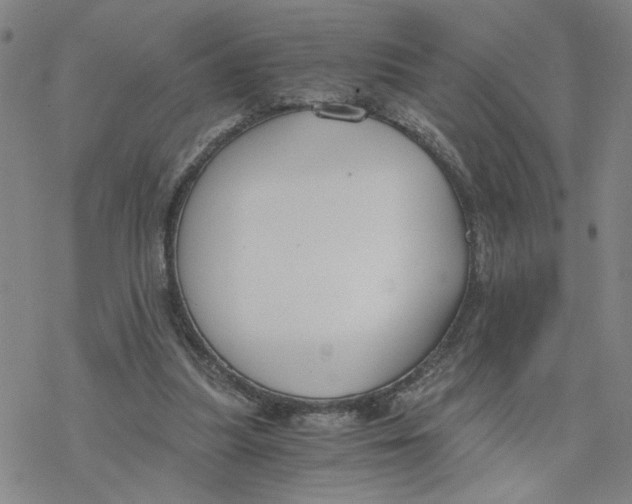 X0000076390251200610271600