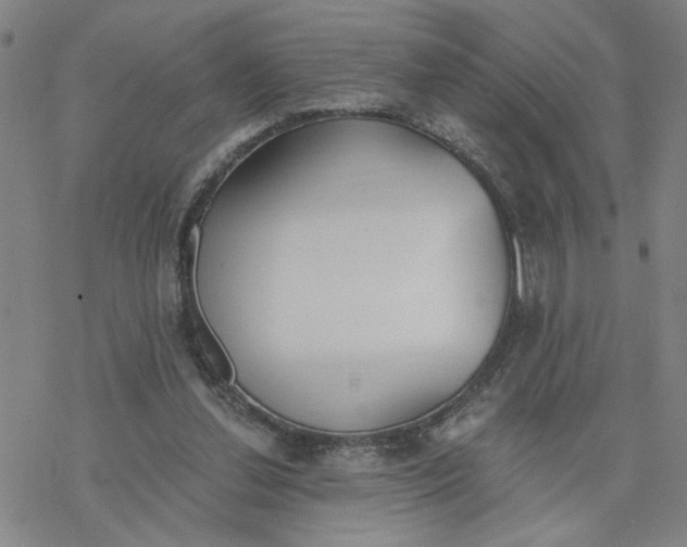 X0000076390252200610271600