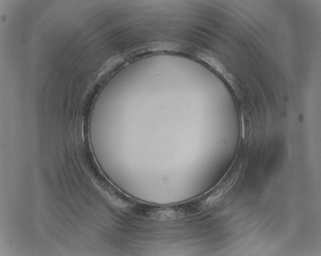 X0000076390253200610271600