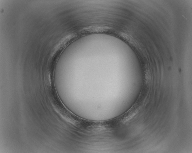 X0000076390254200610271600