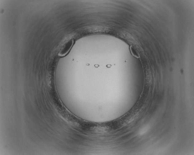 X0000076390255200610271600