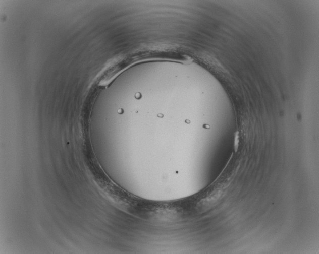 X0000076390256200610271600