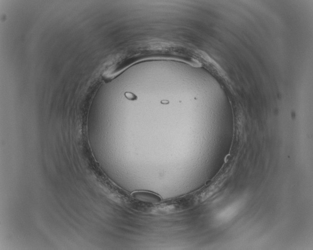 X0000076390257200610271600