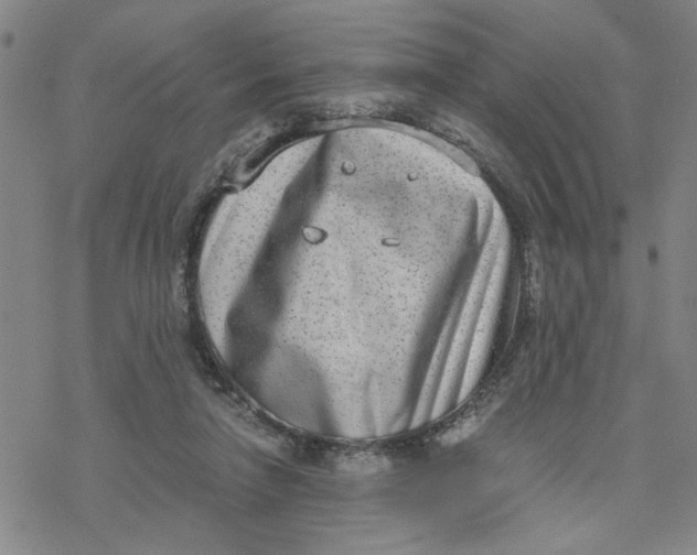 X0000076390258200610271600