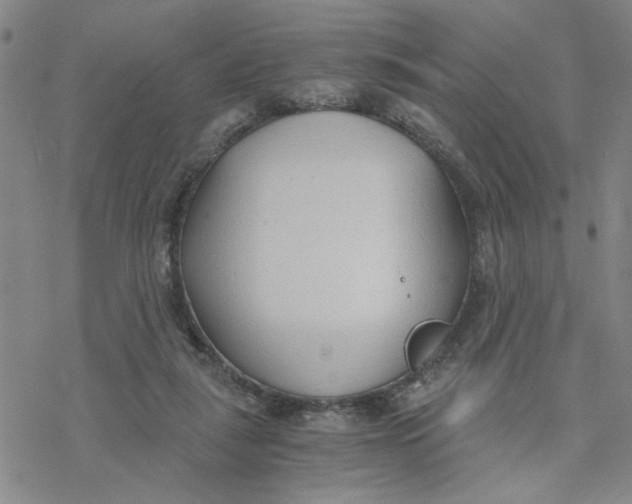 X0000076390259200610271600