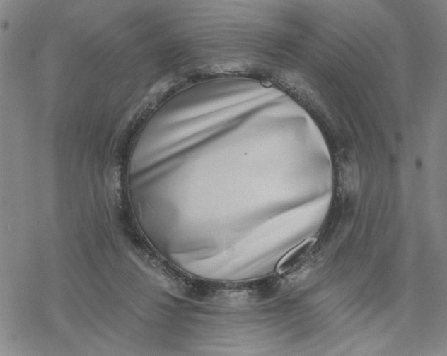 X0000076390260200610271600