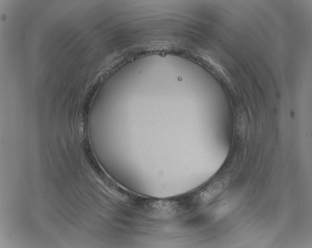 X0000076390261200610271600