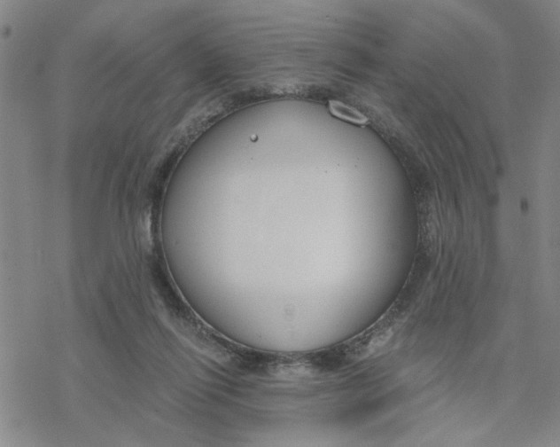 X0000076390262200610271600