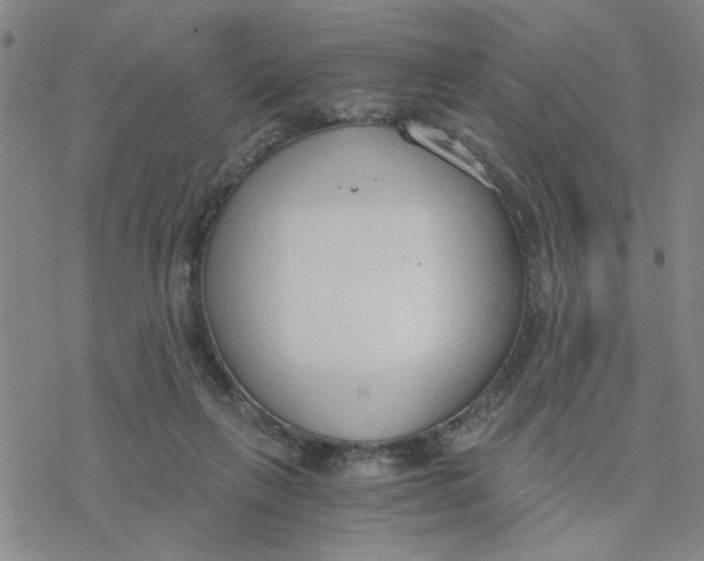 X0000076390263200610271600