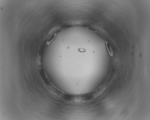 X0000076390264200610271600