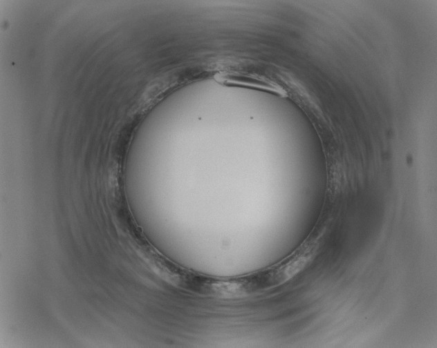 X0000076390265200610271600