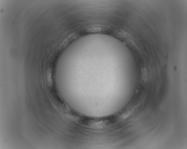 X0000076390267200610271600