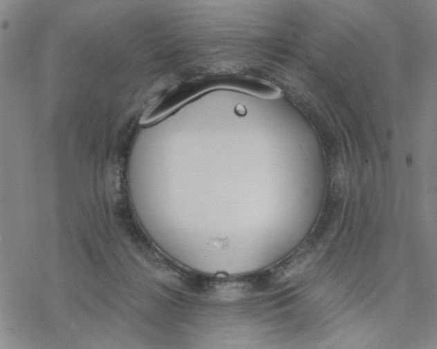 X0000076390268200610271600