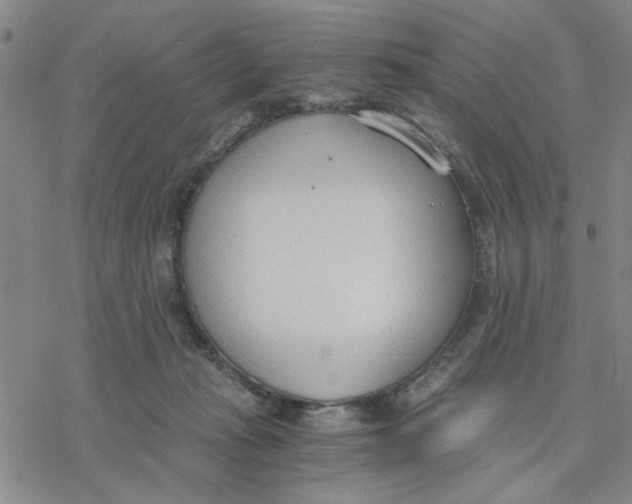 X0000076390269200610271600