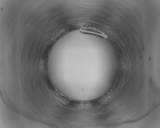 X0000076390270200610271600