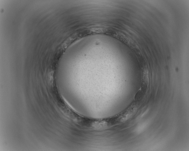 X0000076390271200610271600