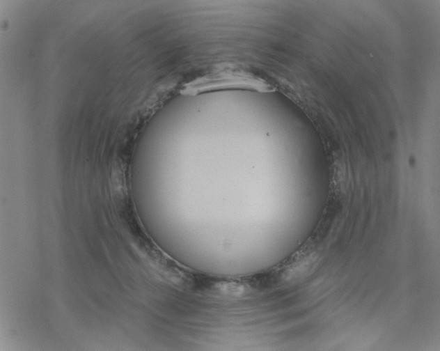 X0000076390272200610271600