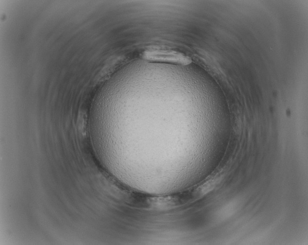 X0000076390273200610271600