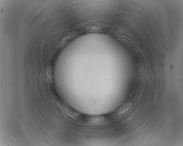 X0000076390274200610271600