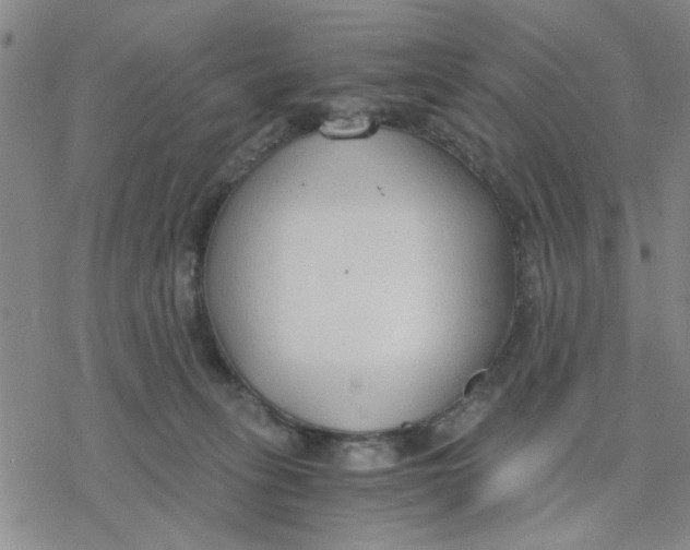 X0000076390275200610271600