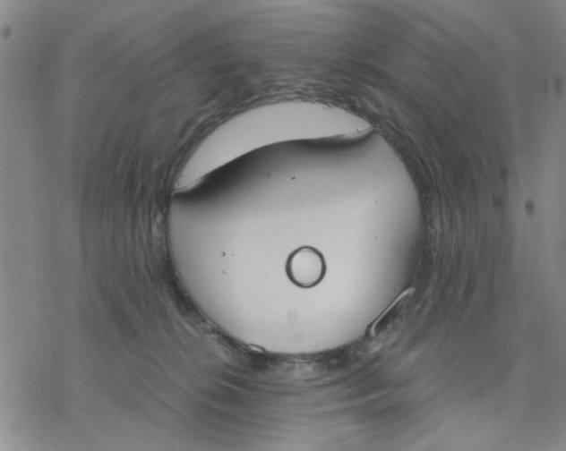 X0000076390276200610271600