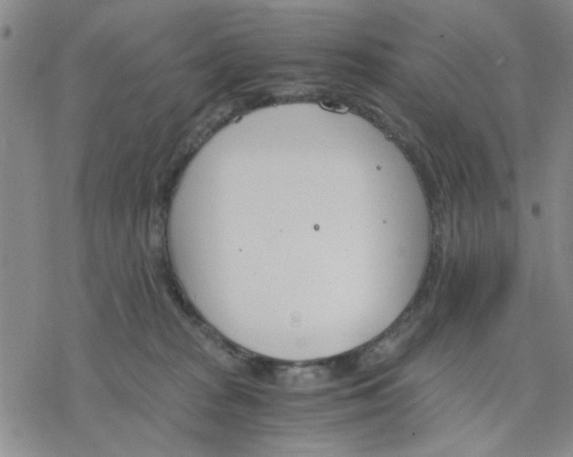 X0000076390277200610271600