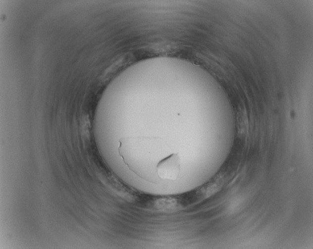 X0000076390279200610271600