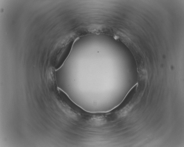 X0000076390280200610271600