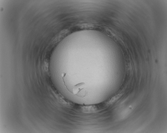 X0000076390281200610271600