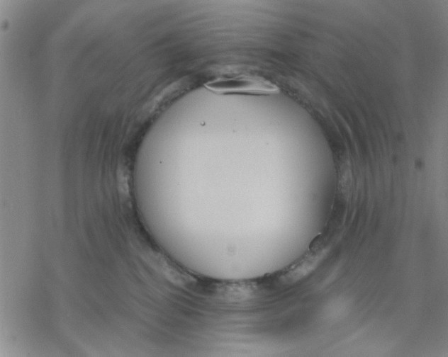 X0000076390282200610271600