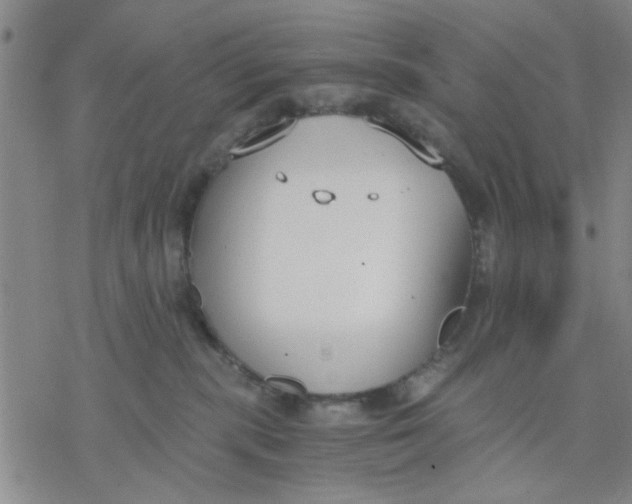 X0000076390283200610271600