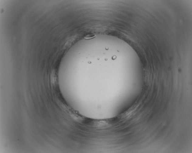 X0000076390287200610271600